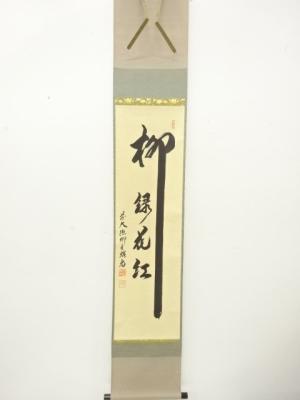 前大徳　橋本紹尚筆　「柳緑花紅」　一行書　肉筆紙本掛軸